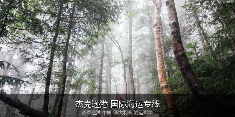 中澳海运跨境电商物流解决方案